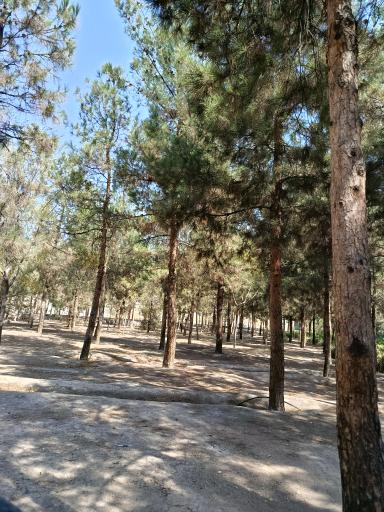 بوستان سلام