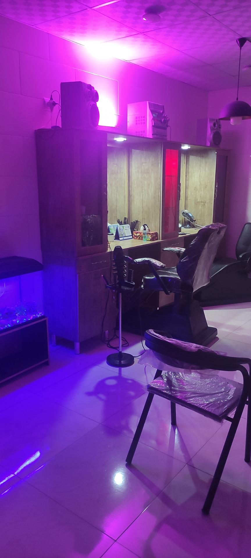 عکس پیرایش اسی