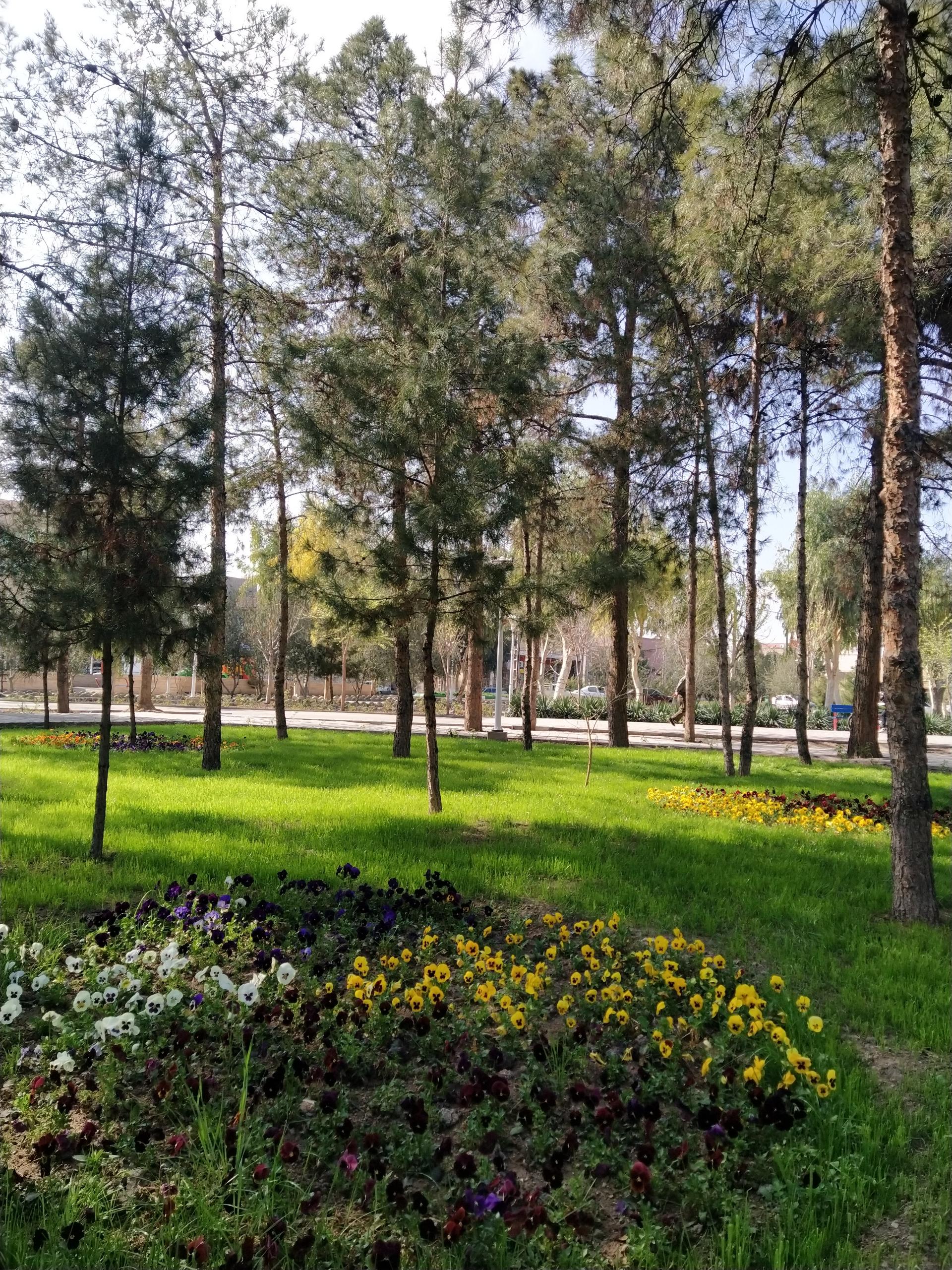 عکس بوستان سلام