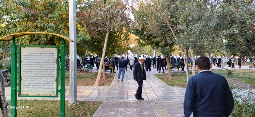 عکس بوستان فجر