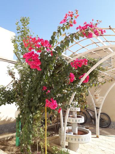 عکس عمارت تاریخی اکبریان