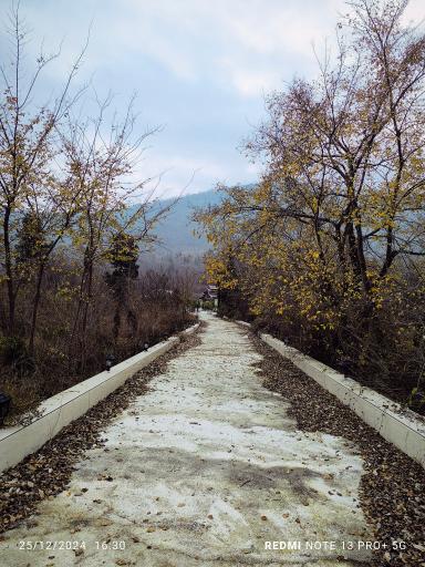 عکس هتل کاخ امیران