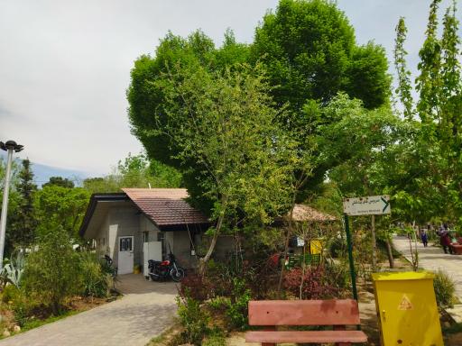 عکس بوستان فجر