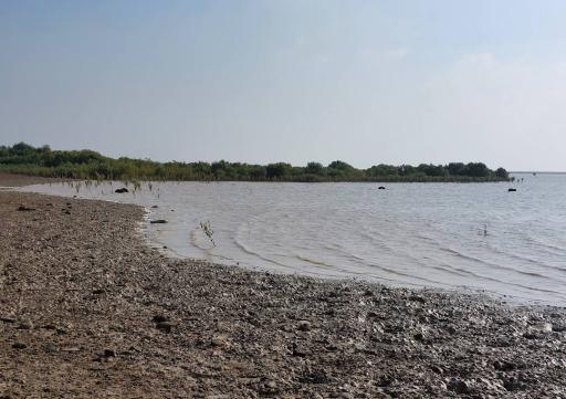 عکس پارک ساحلی خلیج فارس