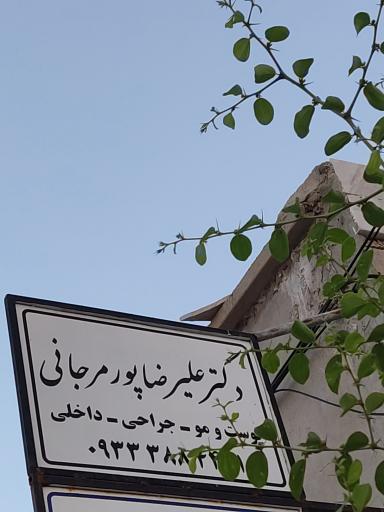 عکس دکتر علیرضا پور مرجانی