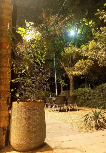 عکس کافه پنداس