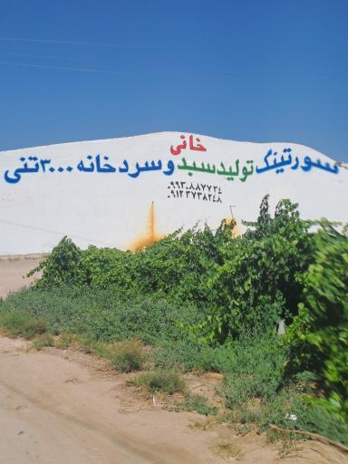 عکس سورتینگ و سرخانه خانی