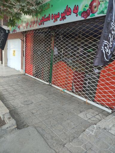 عکس هایپر میوه دستچین ارغوان