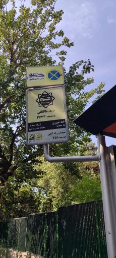 عکس طالقانی