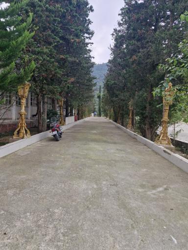 عکس هتل کاخ امیران