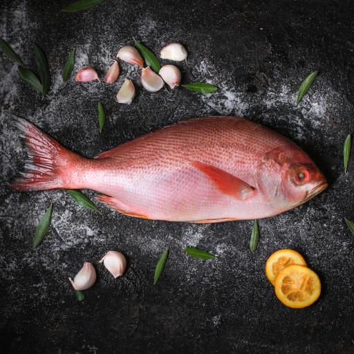 عکس فروشگاه پولک ماهی