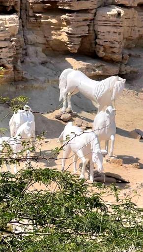 عکس تندیس اسب های ساحلی