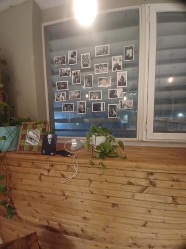 عکس شهر کتاب بابل