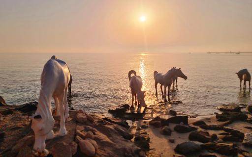 عکس تندیس اسب های ساحلی