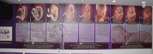 عکس آزمایشگاه پاتوبیولوژی و ژنتیک فروردین