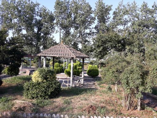 عکس پارک لموک