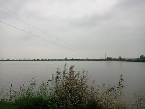 عکس پارک لموک