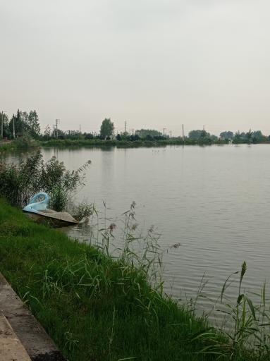 عکس پارک لموک