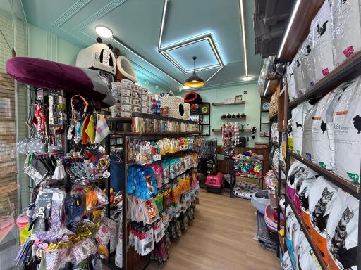 عکس پت شاپ میکا