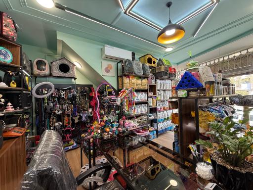 عکس پت شاپ میکا