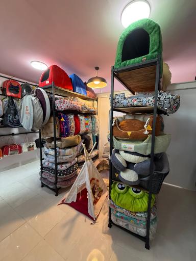 عکس پت شاپ میکا