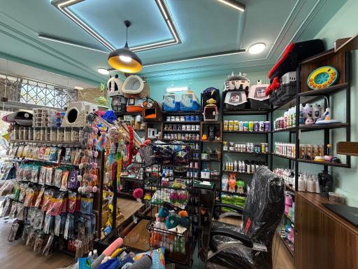 عکس پت شاپ میکا