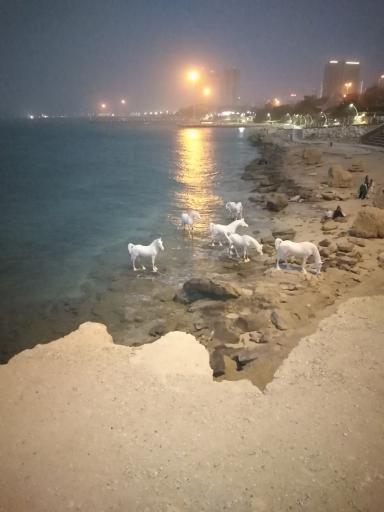 عکس تندیس اسب های ساحلی