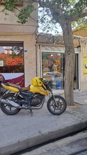عکس بله ترشی دایی حمید