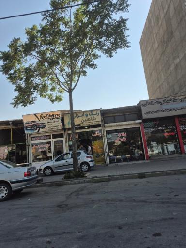رنگ و ابزار شاهین