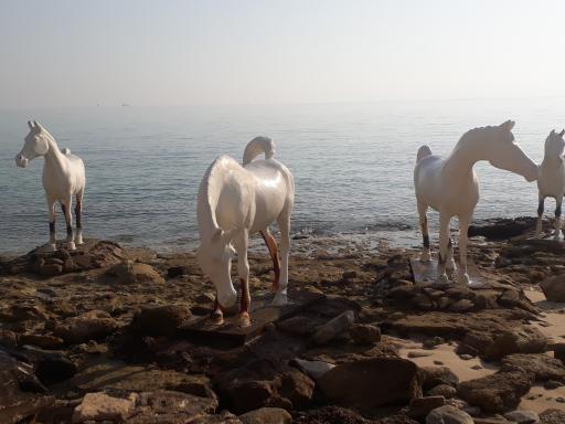عکس تندیس اسب های ساحلی