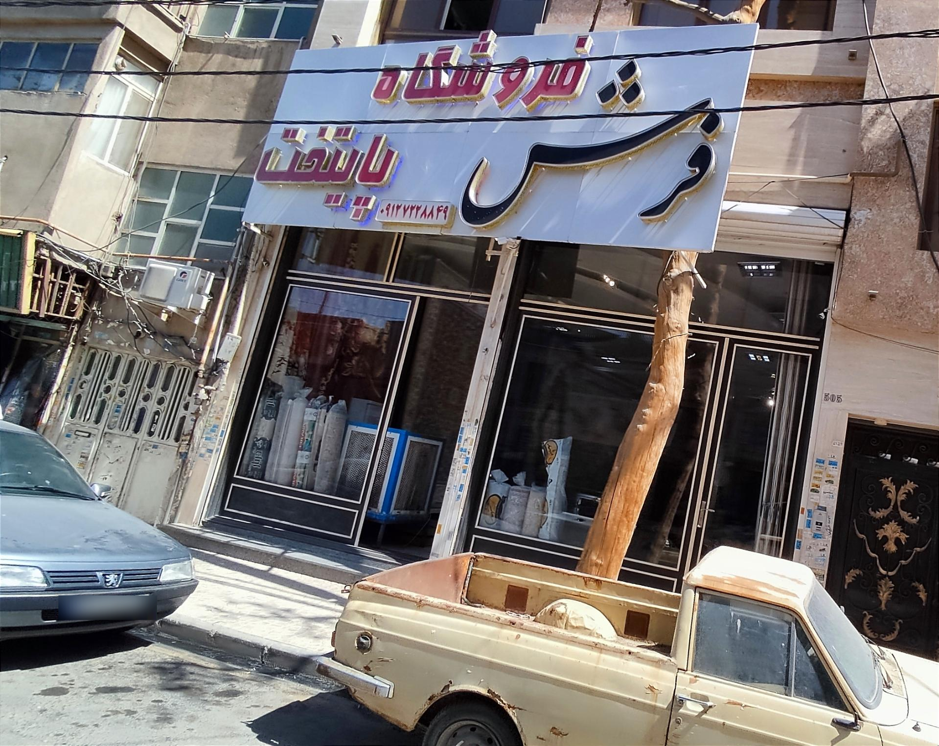 عکس فروشگاه فرش پایتخت