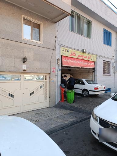 عکس اتو سرویس گل