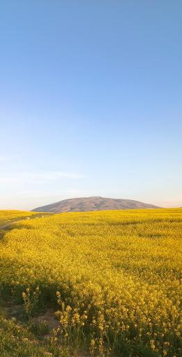 عکس گیلان غرب