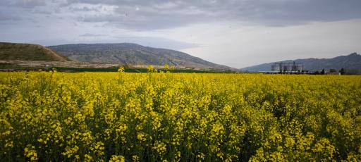 عکس گیلان غرب