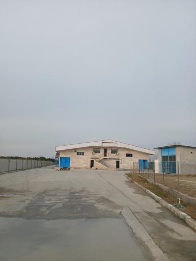 عکس جوجه کشی شاکری