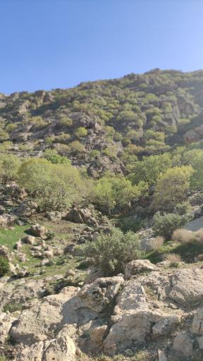 عکس گیلان غرب