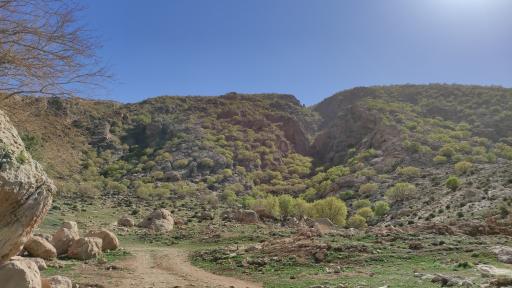 عکس گیلان غرب