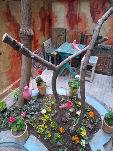 عکس کافه رستوران مام(غذای خانگی)