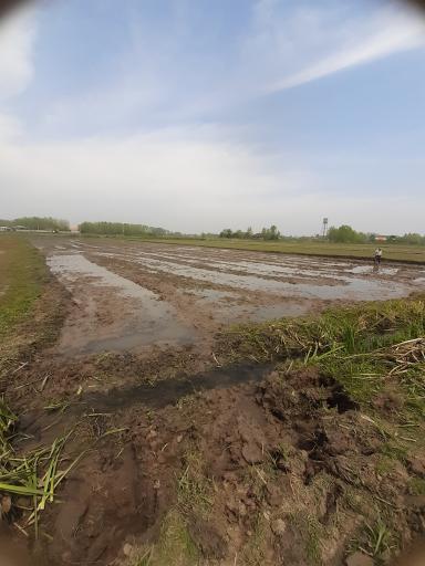 عکس لشت نشاء