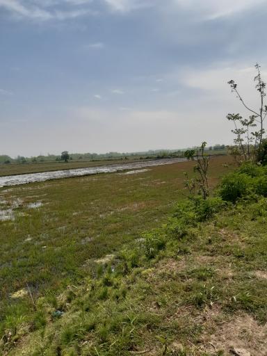 عکس لشت نشاء