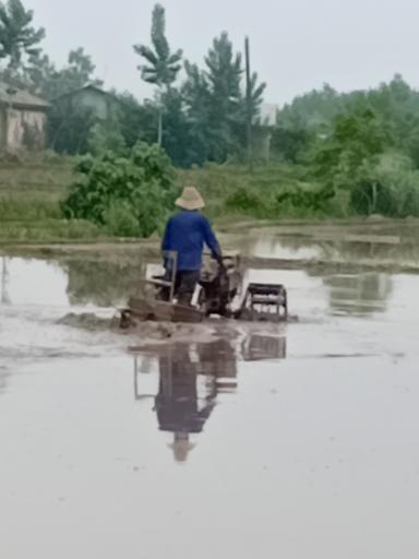 عکس زمین کشاورزی علی زاده