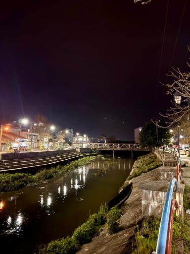 عکس لشت نشاء