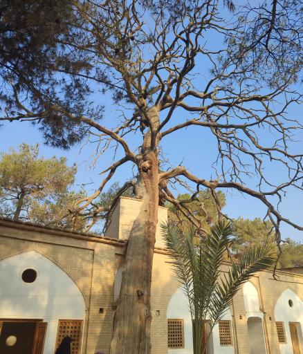 عکس آرامگاه سید ابوالقاسم میرفندرسکی