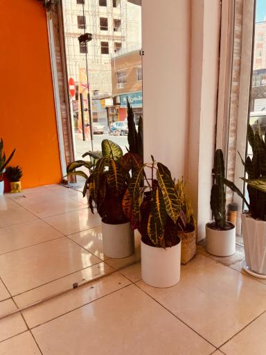 عکس کافه دربست