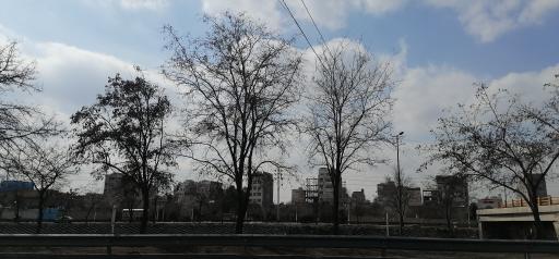 عکس  شهید چراغچی 43