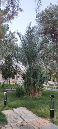 عکس آرامگاه سید ابوالقاسم میرفندرسکی