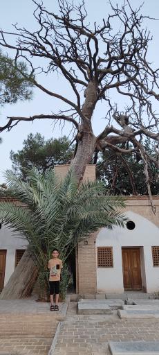 عکس آرامگاه سید ابوالقاسم میرفندرسکی