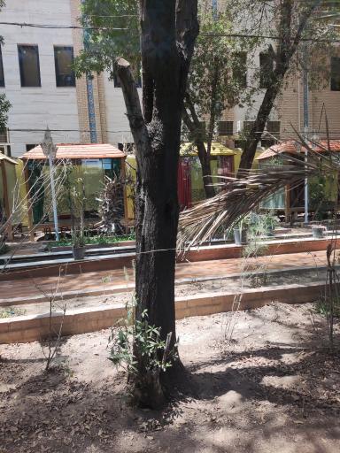 عکس باغ رستوران دربار