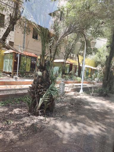 عکس باغ رستوران دربار