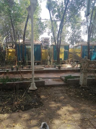 عکس باغ رستوران دربار